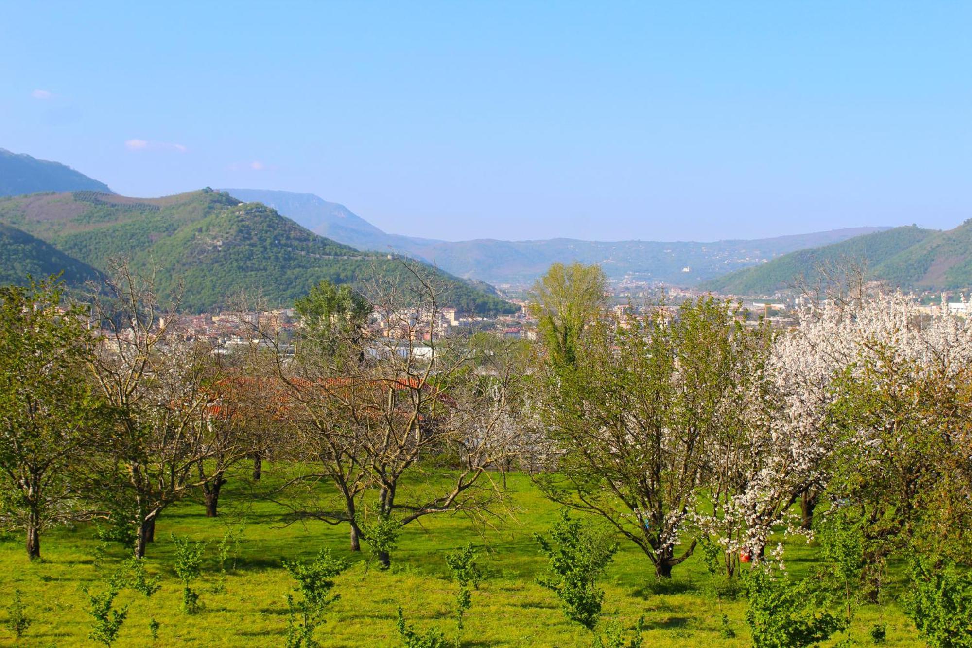 Caledonia B&B Mercato San Severino Bagian luar foto