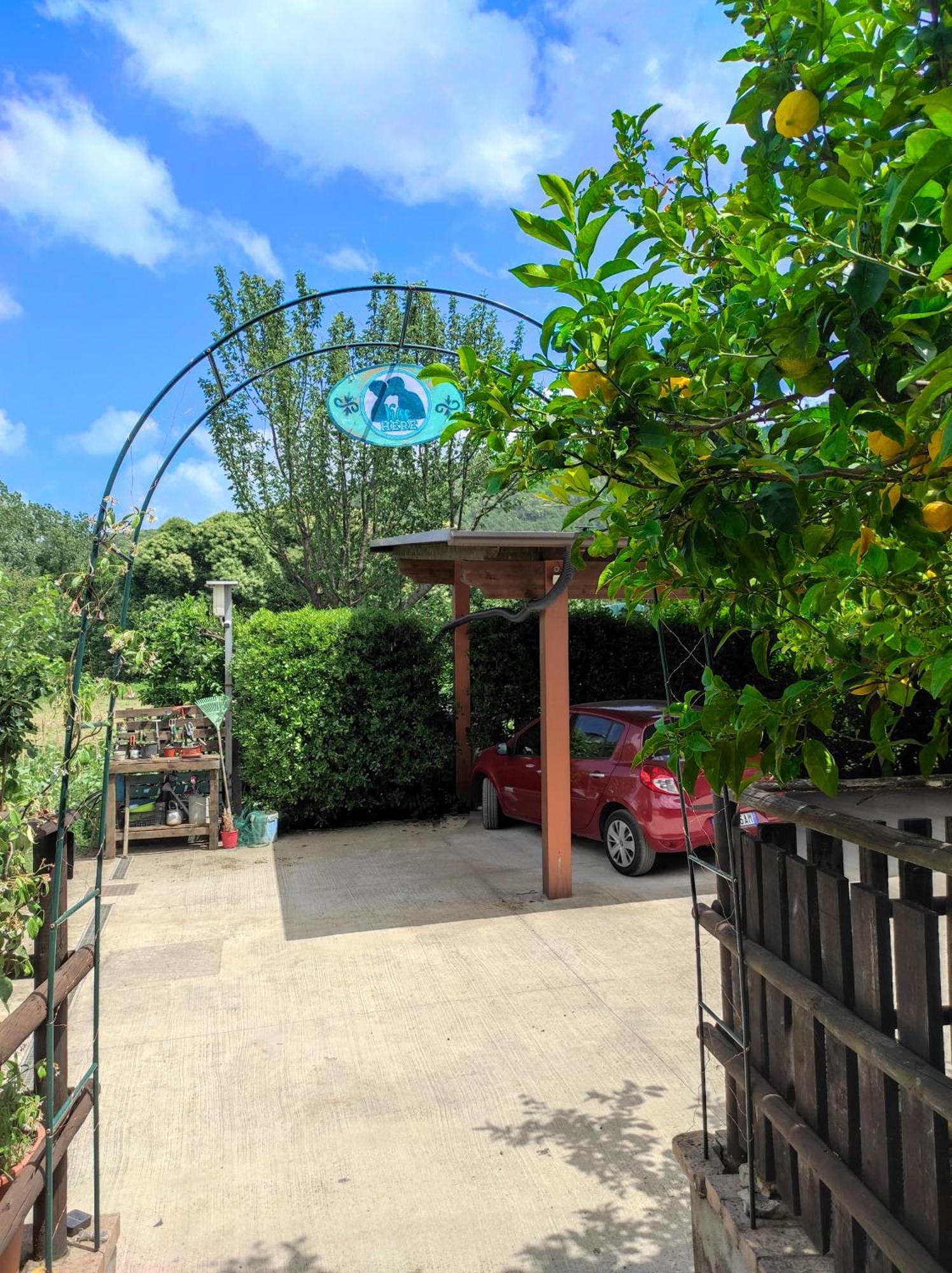 Caledonia B&B Mercato San Severino Bagian luar foto