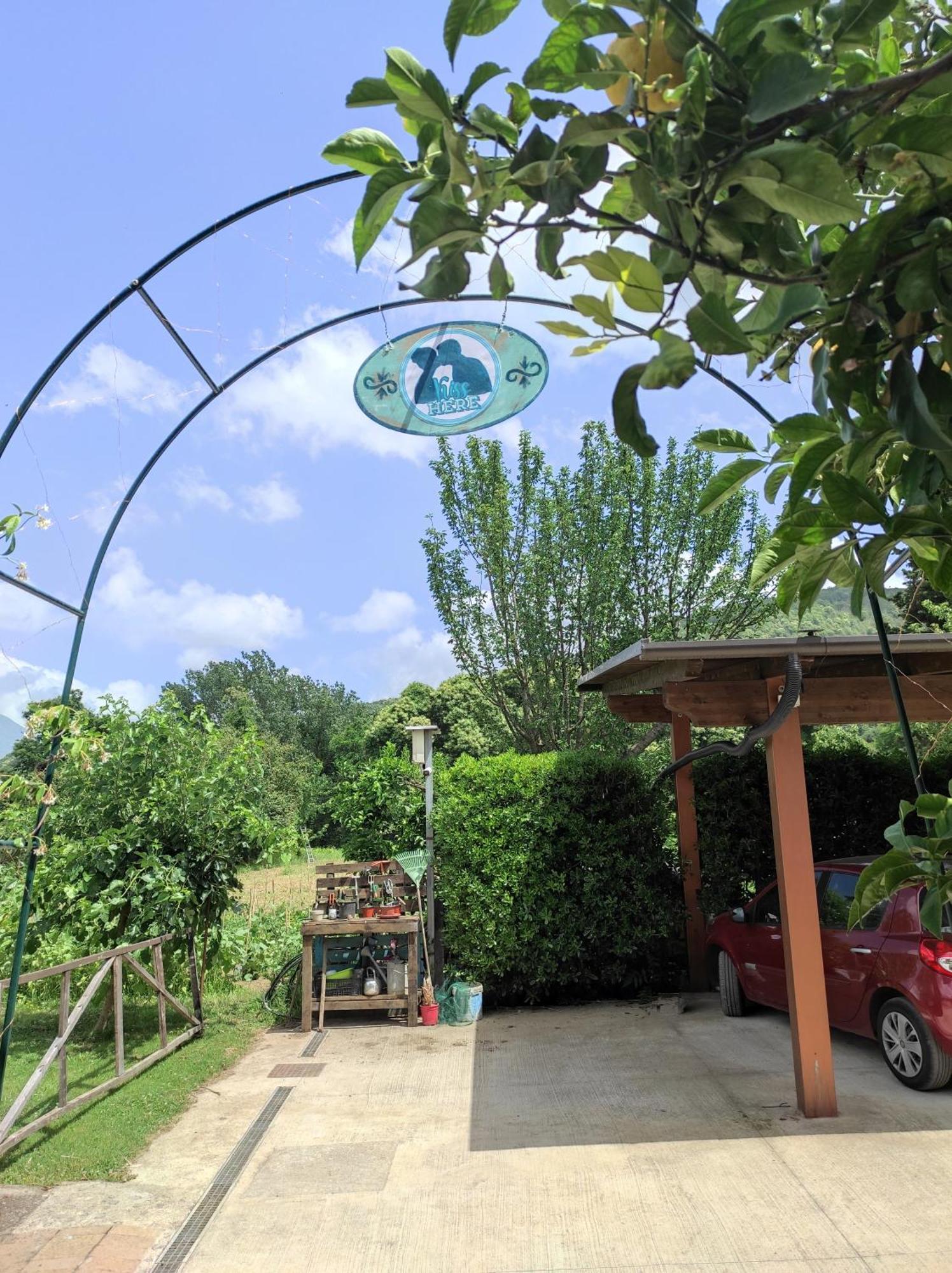 Caledonia B&B Mercato San Severino Bagian luar foto