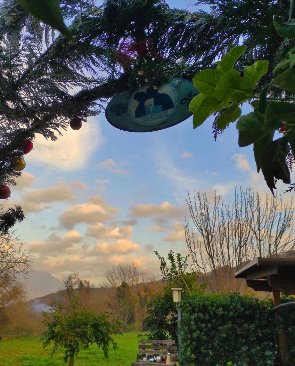 Caledonia B&B Mercato San Severino Bagian luar foto